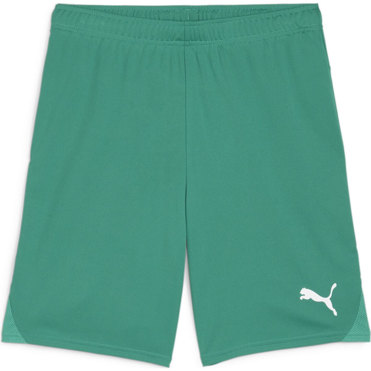 Puma Teamgoal Shorts sport green-puma white (05) XS 705752-05-XS