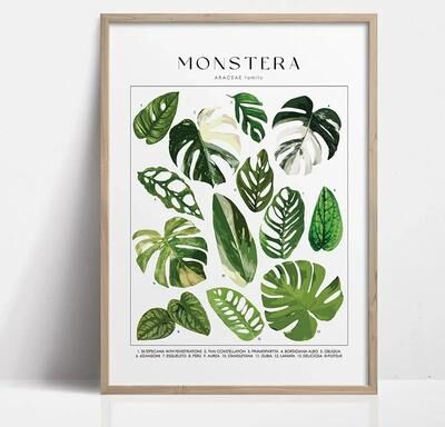 Inspire Select Green Botanical Leaves Canvas Wall Art Calming Nature Houseplant Print 19 19.69 X 27.56 In