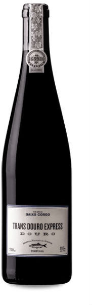 Mateus Nicolau de Almeida Trans Douro Express Baixo Corgo 2023