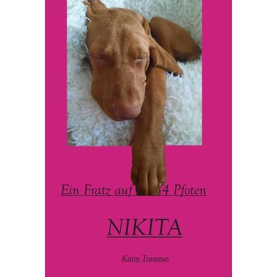NIKITA, Taschenbuch von Karin Trummer, Buchschmiede, 978-3-99129-652-2