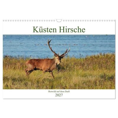Küsten Hirsche - Rotwild auf dem Darß (Wandkalender 2027 DIN A3 quer), CALVENDO Monatskalender
