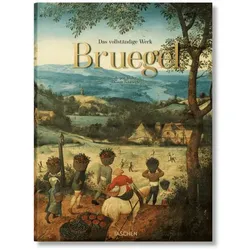 Pieter Bruegel. Das vollständige Werk, Fachbücher von Thomas Schauerte, Jürgen Müller