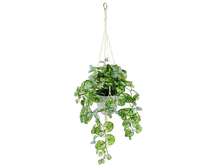 Kunstpflanze I.GE.A. Leuchterblume , grün, B:40cm H:80cm L:30cm, Obermaterial: 80% Polyester, 20% Kunststoff, Kunstpflanzen, Kunstpflanze, Hängepflanze