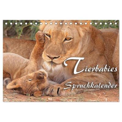 Tierbabies - Spruchkalender (Tischkalender 2026 DIN A5 quer), CALVENDO Monatskalender