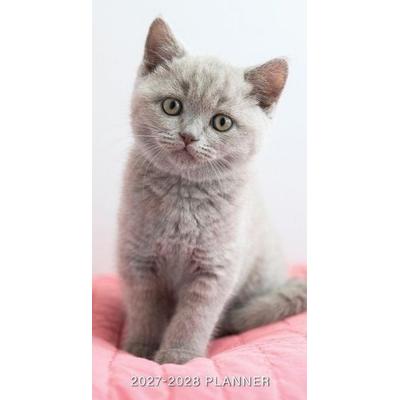 Kitten 2-Year 2027-28 3.5 X 6.5 Monthly Pocket Planner