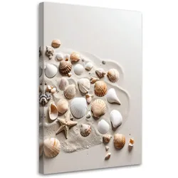 LEINWANDBILD Muscheln Strand Natur beige 80x120cm