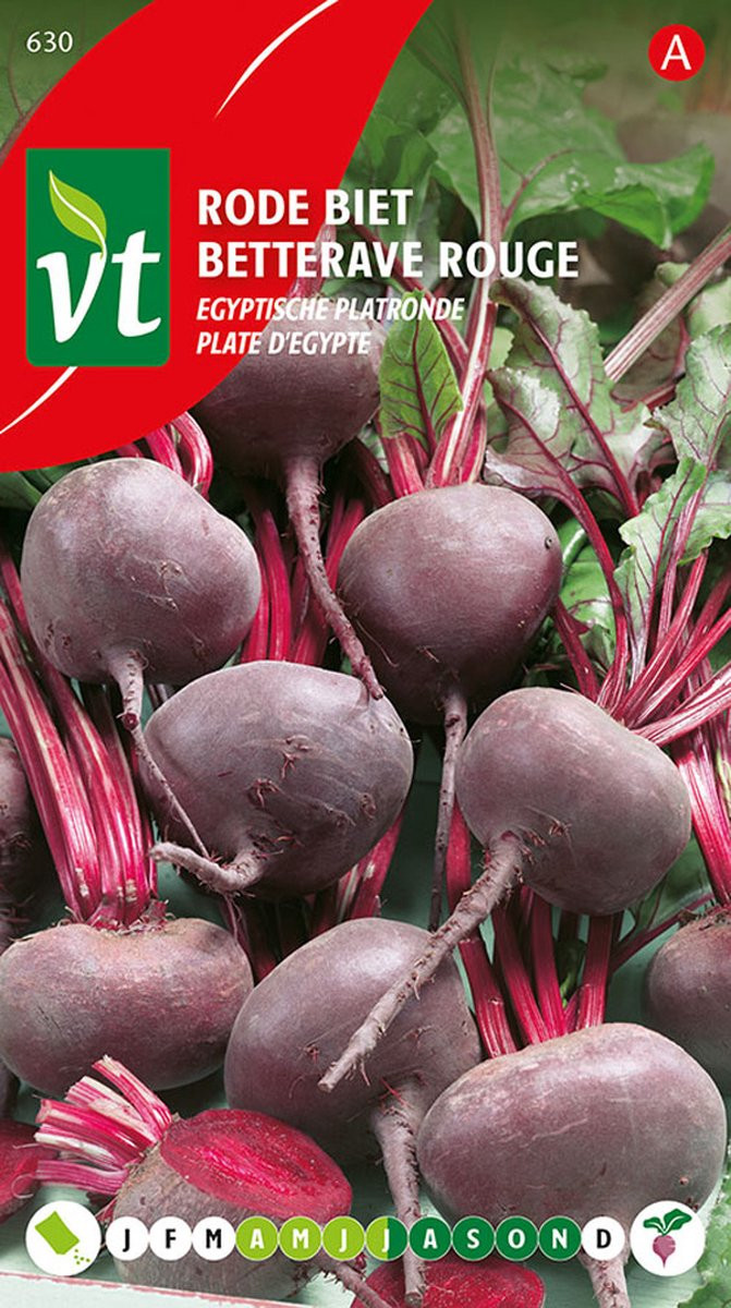 Rode Biet Egyptische Platronde Zaden - Platte, Zoete Bieten Perfect voor Salades