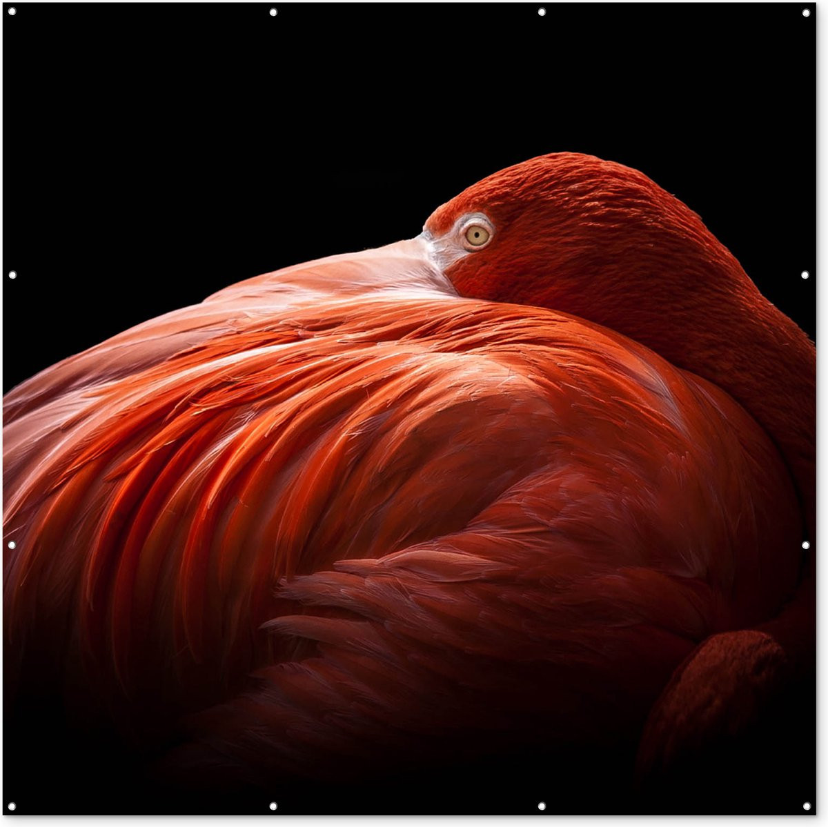 Tuindecoratie Flamingo Tuinposter - Roze - 200 x 200 cm