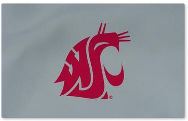 NCAA Logo Washable Rug
