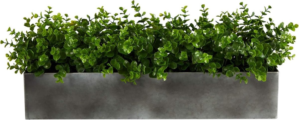 Realistische Kunstplant Eucalyptus in Decoratieve Pot, Hoogte: 65 cm