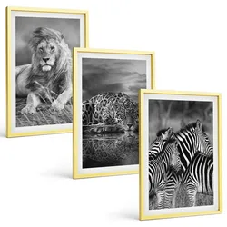 BILDER SET 3er Set - 40x60 cm Goldrahmen - Wildtiere der Savanne