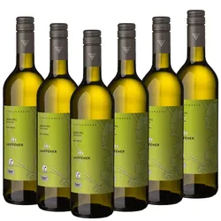 Lauffener Weingärtner eG Lauffener ECOVIN Riesling trocken QbA 0,75l - 6er Karton