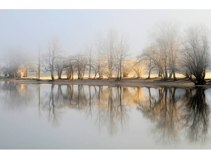 Fototapete PAPERMOON Photo-Art BOR, JANUAR MORGEN , grau (bunt), B:2m L:1,49m, Vlies, Tapeten, Fototapete