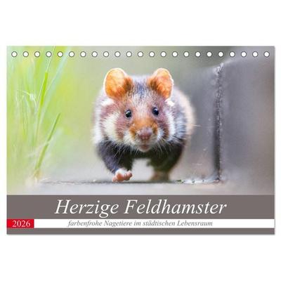 Herzige Feldhamster - farbenfrohe Nagetiere im städtischen Lebensraum (Tischkalender 2026 DIN A5 quer), CALVENDO Monatskalender