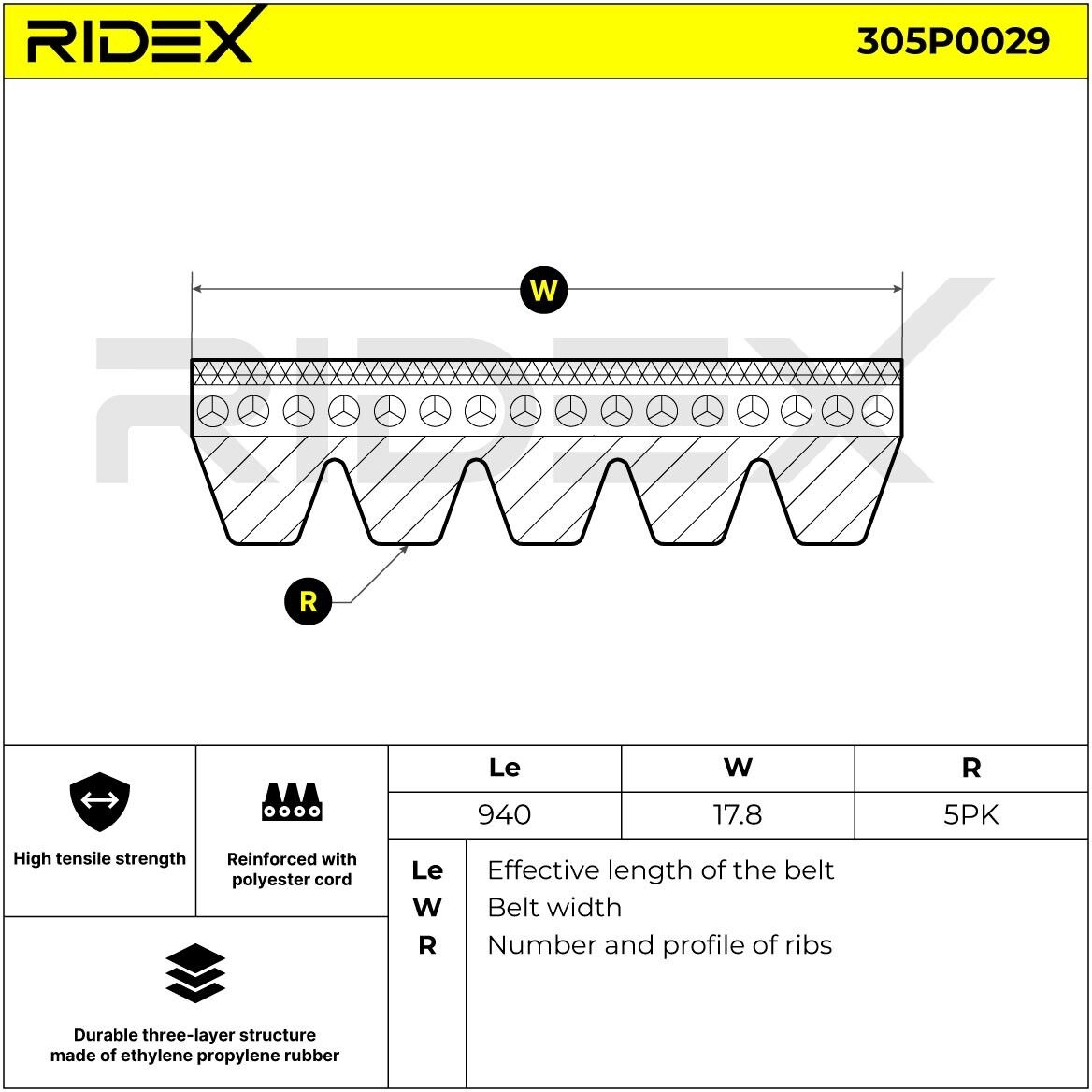 RIDEX 305P0029 Multiriem