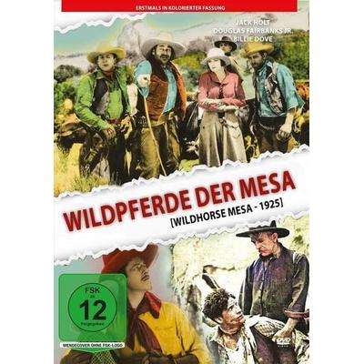 Wildpferde der Mesa (1925) - in kolorierter Fassung, DVD