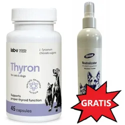 Thyron – Unterstützung der normalen Schilddrüsenfunktion, 90 Kapseln