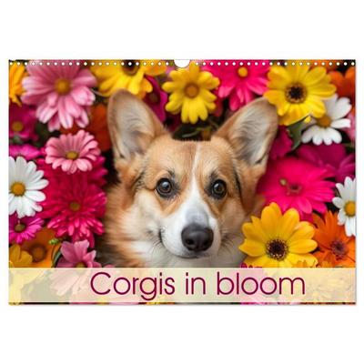 Corgis in Bloom (Wall Calendar 2027 DIN A3 landscape), CALVENDO 12 Month Wall Calendar