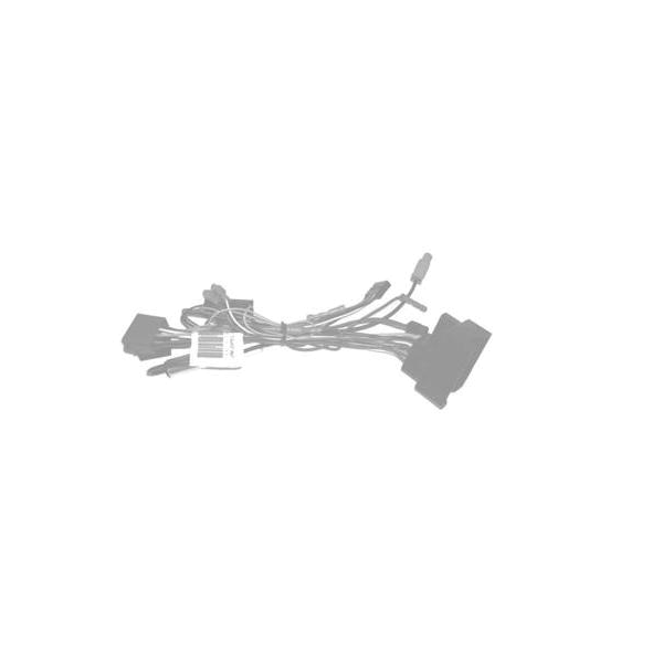 Kenwood CAW-CCANAU2