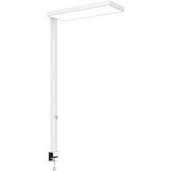 Maul MAULjura 8257202 LED-Aufbauleuchte LED Weiß