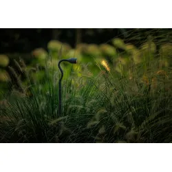Lightpro Gartenstrahler Xible Hi 12V Strahler