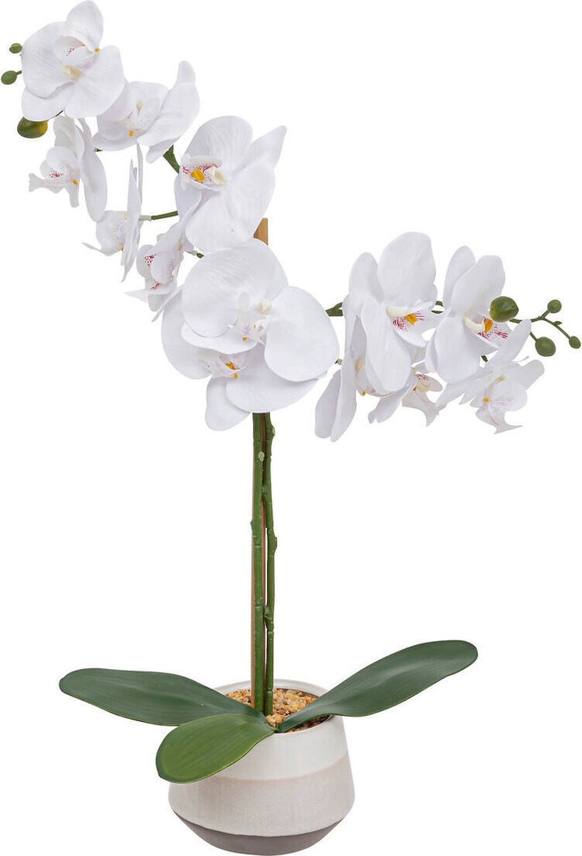 Clera Witte kunstmatige orchidee in pot, 52 cm