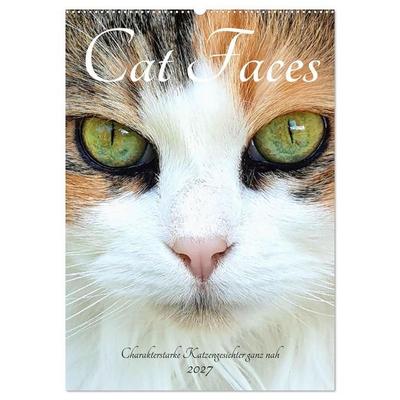 Cat Faces - Charakterstarke Katzengesichter ganz nah (Wandkalender 2027 DIN A2 hoch), CALVENDO Monatskalender