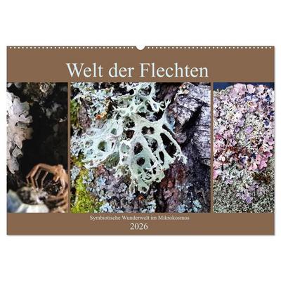 Welt der Flechten (Wandkalender 2026 DIN A2 quer), CALVENDO Monatskalender
