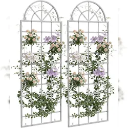CLP 2er Set Rankgitter Viva Wandbefestigung Metall HBT: 180x70x1 cm antik weiß