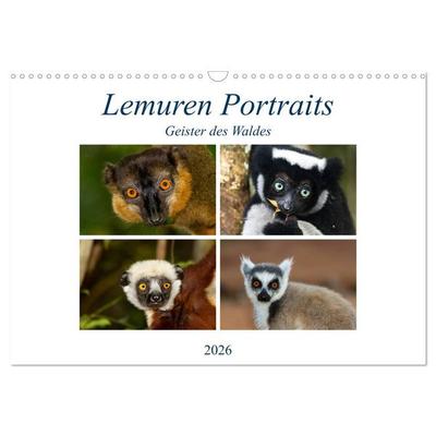 Lemuren Portraits (Wandkalender 2026 DIN A3 quer), CALVENDO Monatskalender