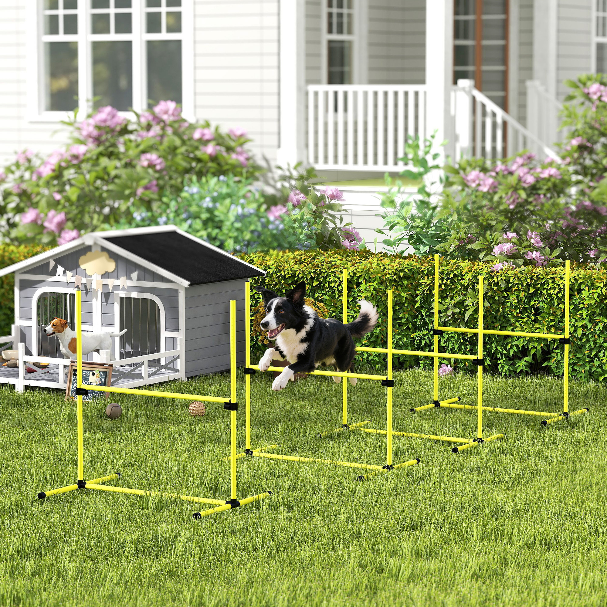 Pawhut Set 4 Ostacoli Agility Dog per Addestramento Cani ad Altezza Regolabile con Borsa da Trasporto, Giallo   Aosom Italy