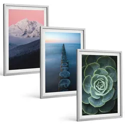 BILDER SET 3er Set - 40x60 cm Silberner Rahmen - Berge, rosa Himmel, Wasser, Sukkulente