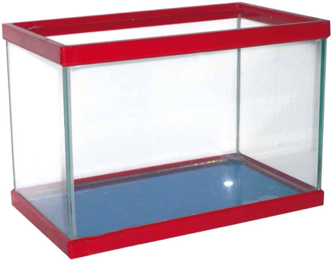 Amtra Azzurra Vasca in Vetro con Cornice Colorata per Pesci CM.50