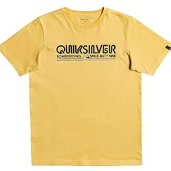 Quiksilver Jungen T-Shirt Like Gold cabbage - 16 - 16