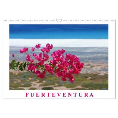 Fuerteventura (Wandkalender 2027 DIN A3 quer), CALVENDO Monatskalender