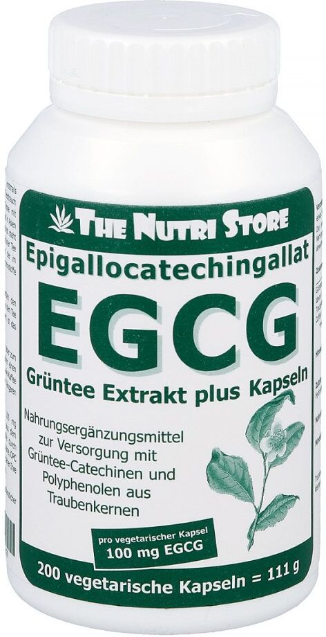 Egcg 100 mg Grüntee Extrakt plus Kapseln 200stk