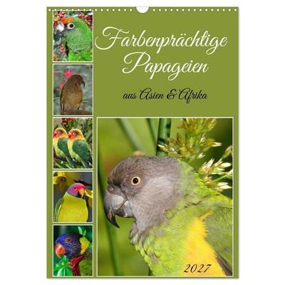 Farbenprächtige Papageien aus Asien und Afrika (Wandkalender 2027 DIN A3 hoch), CALVENDO Monatskalender