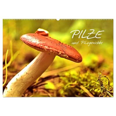 Pilze und Pilzgerichte (Wandkalender 2026 DIN A2 quer), CALVENDO Monatskalender