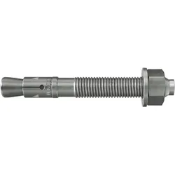 Fischer, Dübel, Bolzenanker FBN II 8/5 K R (50 Stk.)