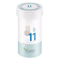 BIOCHEMIE Pflüger 11 Silicea D 12 Pulver 100 g
