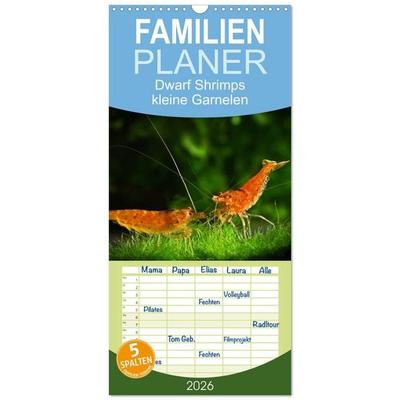Familienplaner 2026 - Dwarf Shrimps - kleine Garnelen mit 5 Spalten (Wandkalender, 21 x 45 cm) CALVENDO