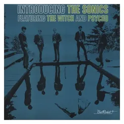 Sundazed Music, Schallplatten, Sonics - Introducing the Sonics (Sonics)