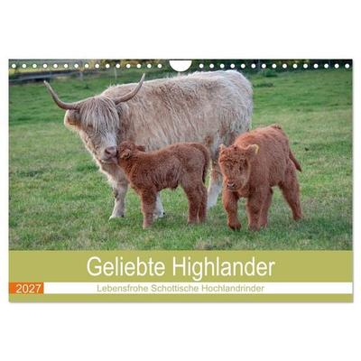 Geliebte Highlander (Wandkalender 2027 DIN A4 quer), CALVENDO Monatskalender