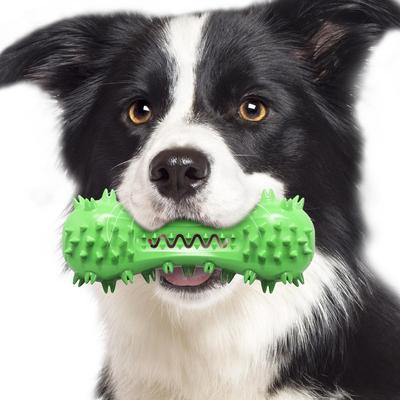 Inspired Deals Interactive Dog Chew Toy Dental Cleaning Bone For Aggressive Chewers With Squeaker green