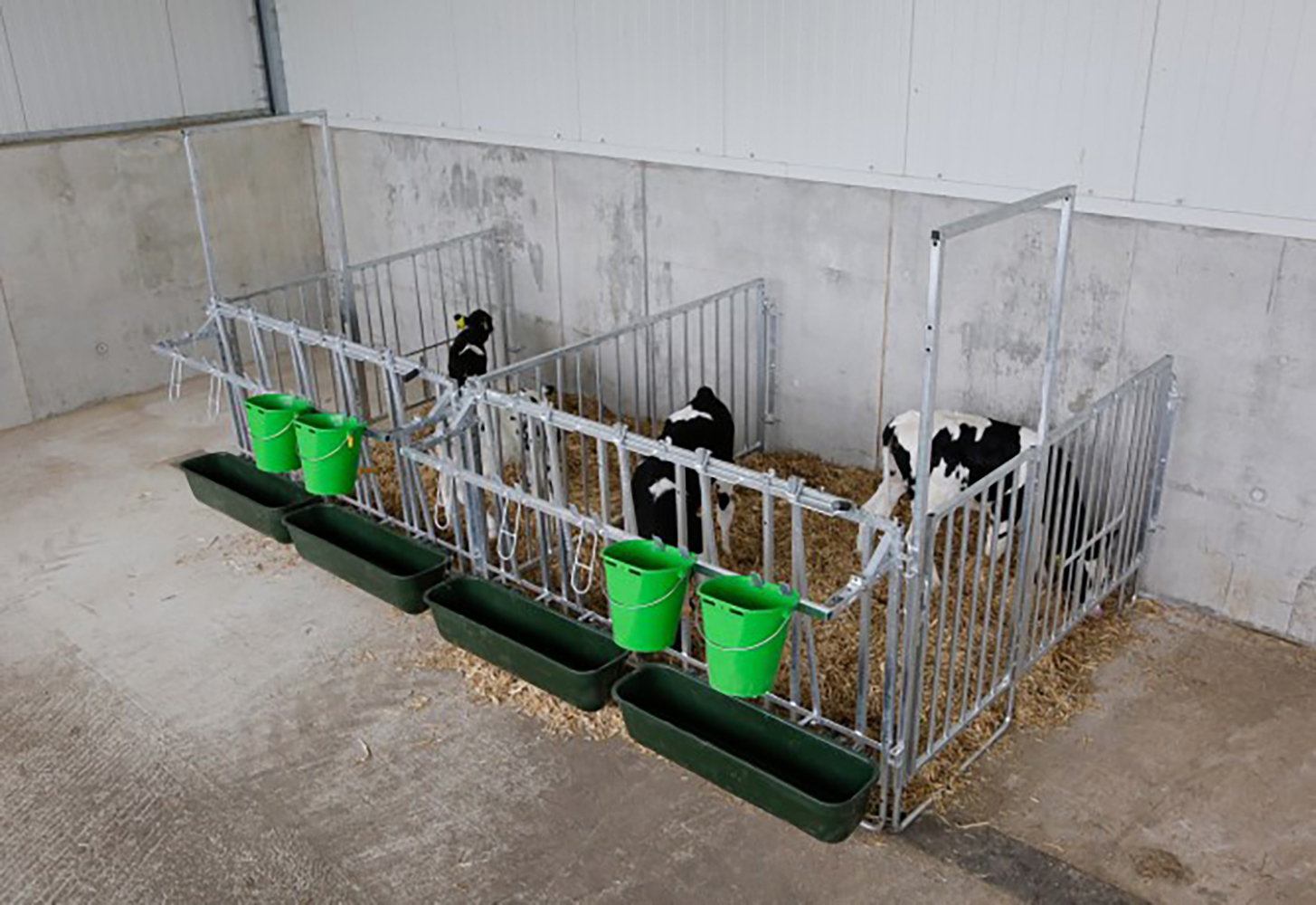 Kerbl Einzelset für 5er-Kälbergruppe mit Wandbefestigung
