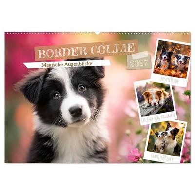 Border Collie - Magische Augenblicke (Wandkalender 2027 DIN A2 quer), CALVENDO Monatskalender