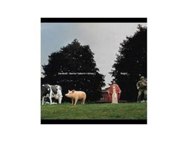 Feign [Import allemand]