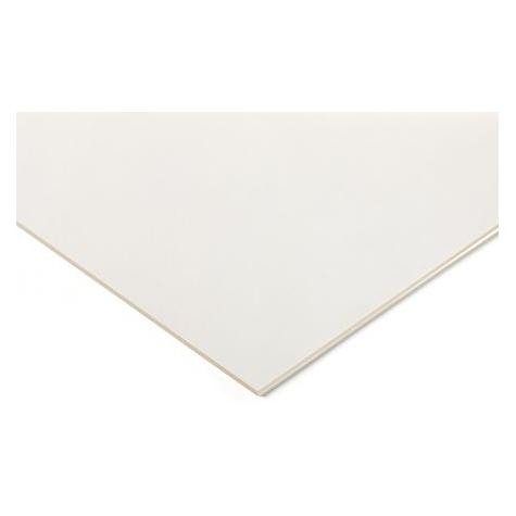 RS PRO Acryl Tafeln 5x400x500mm 2St. (824676)
