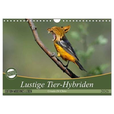 Lustige Tier-Hybriden (Wandkalender 2026 DIN A4 quer), CALVENDO Monatskalender