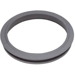 Hansgrohe Dichtring Lotionsspender , 96901000 96901000